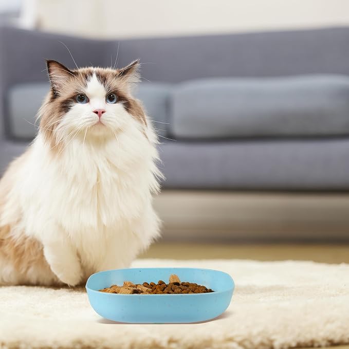 Cat Food Bowl Set, 6 inch Wide Shallow Cat Bowl - Image 7