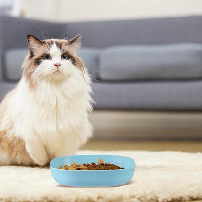 Cat Food Bowl Set, 6 inch Wide Shallow Cat Bowl - Image 7