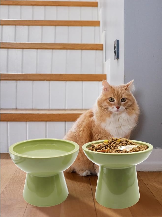 LoeJan Elevated Food and Water Bowls Set, Extra Wide and Raised Ceramic Feeder - Image 7