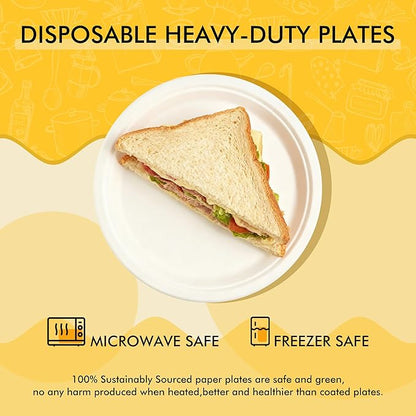 RACETOP Compostable Small Paper Plates 6 Inch [300 Pack], Disposable Biodegradable Heavy Duty Paper Plates, Made of Natural Sugarcane Fibers, Unbleached White, Round