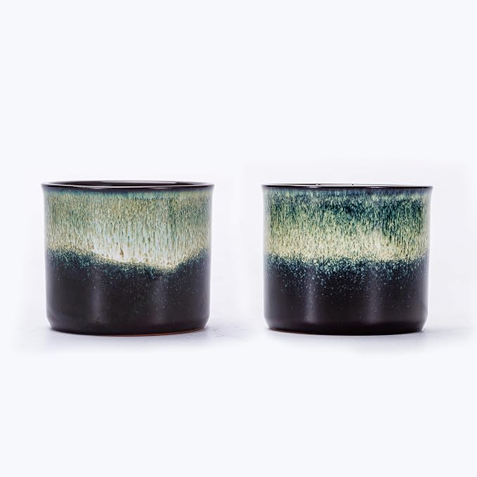 Espresso Cups Set of 2, Ceramic Espresso Cups, Expresso Shots Cups, 2.5oz Tea by RISTEASO