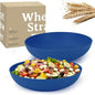 65oz Wheat Straw Large Salad & Soup Bowls Set of 2, Unbreakable, Microwave & by WROVA