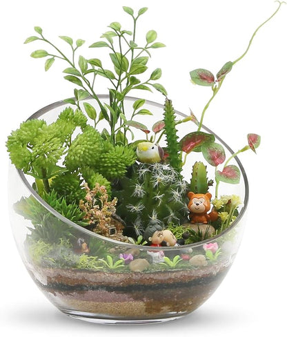 WGVI Clear Slant Cut Bowl Glass Vase, Glass Terrarium, Candy Dish, Slant Cut - Image 4