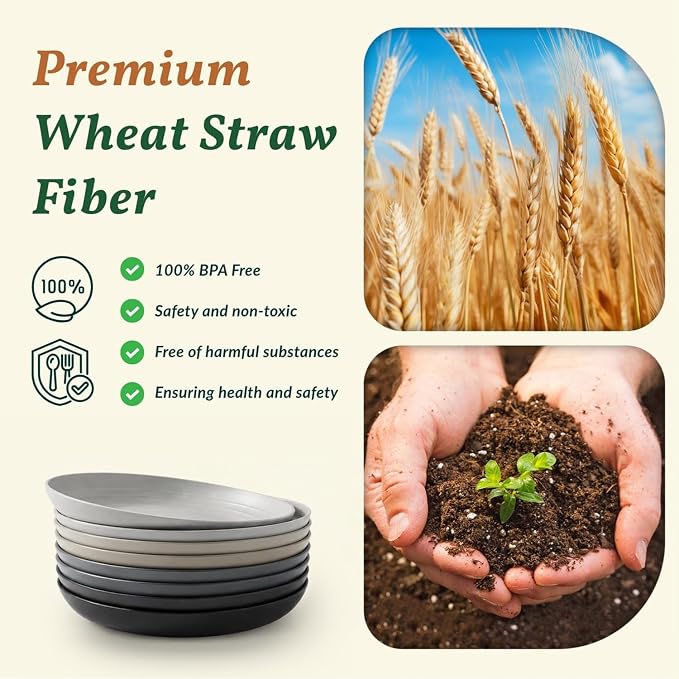 Wheat Straw Dinner Plates Set of 8-11 Inch, Alternative to Plastic, Microwave & - Image 3