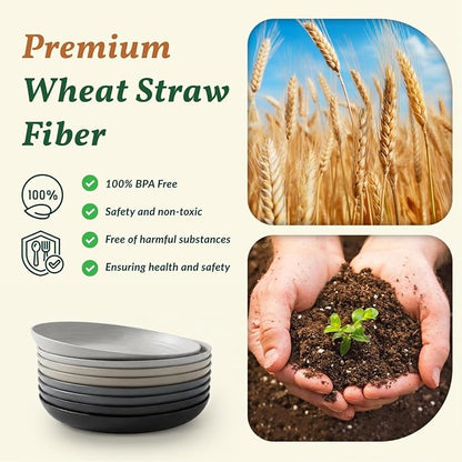 Wheat Straw Dinner Plates Set of 8-11 Inch, Alternative to Plastic, Microwave & - Image 3