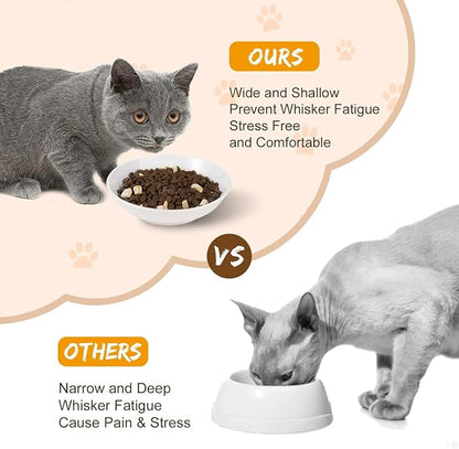 Ceramic Cat Dishes for Food - Image 4