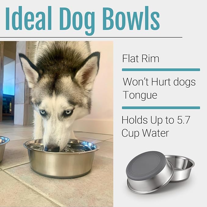 Nonslip Stainless Steel Dog Bowls, 5.7 US Cup, Dishwasher safe, Stackable design - Image 4