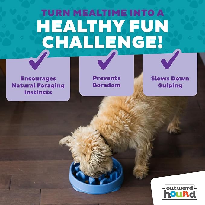 Outward Hound Fun Feeder Slo Bowl – 2‑Cup Capacity, Slow Feeding, Small to - Image 6