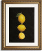InSimSea Gold Framed Wall Art, Lemon Kitchen Wall Shelf Decor, Dark Moody Still Life Canvas Print Art, Dining Room Farmhouse Decor, Antique Paintings with Picture Frame 13x16inch