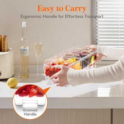 Lifewit Chilled Condiment Caddy - Image 8