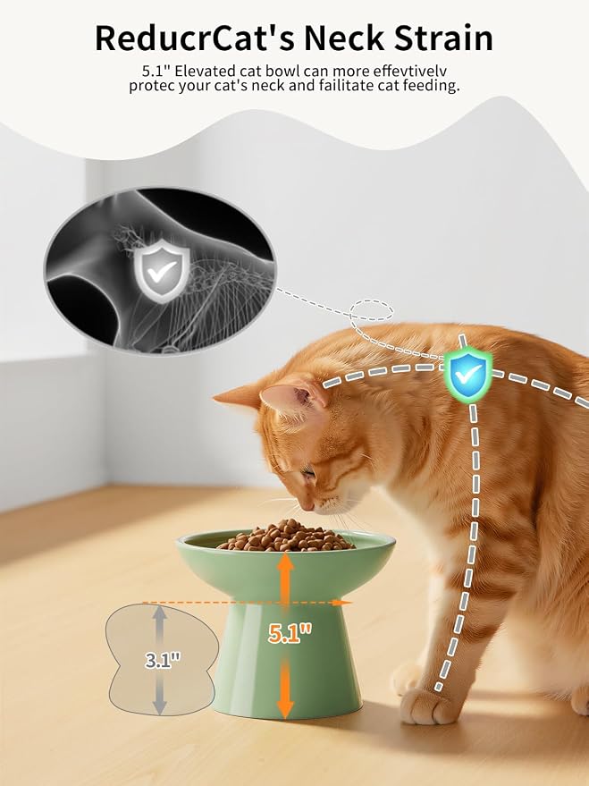 LoeJan Elevated Cat Food and Water Bowls Set, Extra Wide and Raised Ceramic - Image 3