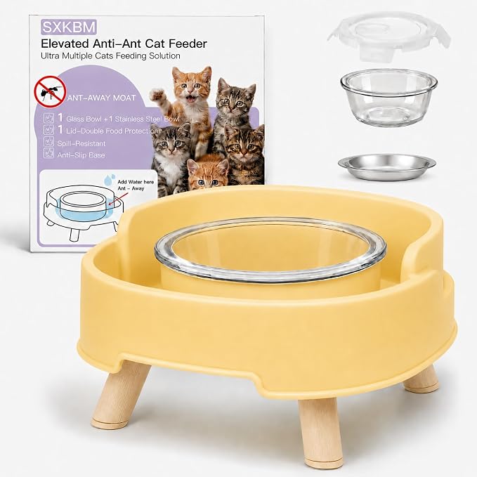 Anti-Ant Raised Cat Bowls with Lid, 1 Glass Water Bowl+1 Shallow Dish | Raised by Unknown