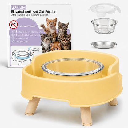 Anti-Ant Raised Cat Bowls with Lid, 1 Glass Water Bowl+1 Shallow Dish | Raised by Unknown