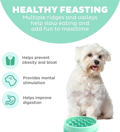 Outward Hound Fun Feeder Slo Bowl – Small 3/4-Cup Capacity, Slow Feeding - Image 2