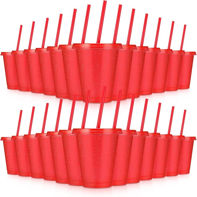 24 Pcs Plastic Tumblers with Lids and Straws, Reusable Cups with Lids Plastic by LEIFEOSH