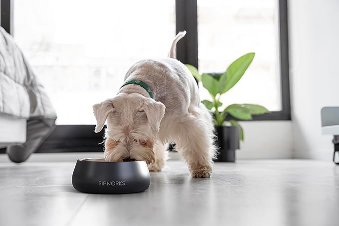 Sipworks Stainless Steel Dog Bowl – 32oz Weighted Metal Food and Water Bowls for Dogs and Cats with Non-Slip Base - Pet Bowls for All Breeds Sizes for Travel & Outdoor Play | White