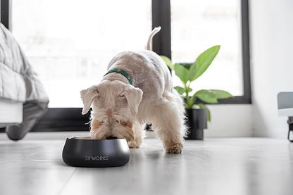 Sipworks Stainless Steel Dog Bowl – 32oz Weighted Metal Food and Water Bowls for Dogs and Cats with Non-Slip Base - Pet Bowls for All Breeds Sizes for Travel & Outdoor Play | Flamingo