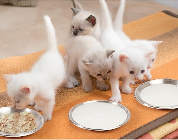 Stainless Steel Cat Dishes for Food and Water Bowls for Kittens and Baby Cats - Image 7