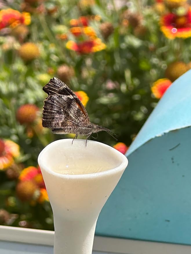 5 Pack, Bee Watering Station, 100% Handmade Porcelain, Bee and Butterfly Feeder - Image 7