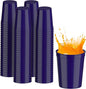 PartyPrints 100 Pack 16 oz Purple Reusable Blank Plastic Cups, Stadium Cups by PartyPrints