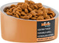 Master Pet Supply Stainless Steel Slanted Dog Cat Food Bowl - 8 oz Heavy Duty - Mango Tango, Double Wall Insulated, Non-Slip Elevated Bowl for French Bulldogs Pugs Cats, Anti Rust Dishwasher Safe