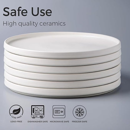 AmorArc Stoneware Dinner Plates Set of 6, 10.5 Inch Reactive Matte Glaze Ceramic Plates Set, Modern Dinnerware Dish set for Kitchen,Microwave, Dishwasher Safe, Scratch Resistant,Matte White