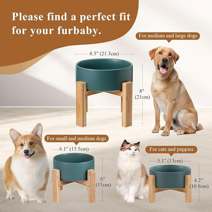 Elevated Ceramic Cat Bowl - Cat Food Bowl with Bamboo Stand - Raised Dog Dish for Puppies - Anti Vomiting, Stress Free - 13.5 oz / 400 ml - Grey