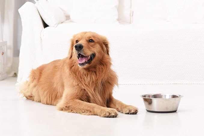 Deep Stainless Steel Anti-Slip Dog Bowls - Image 7