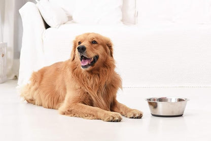 Deep Stainless Steel Anti-Slip Dog Bowls - Image 7