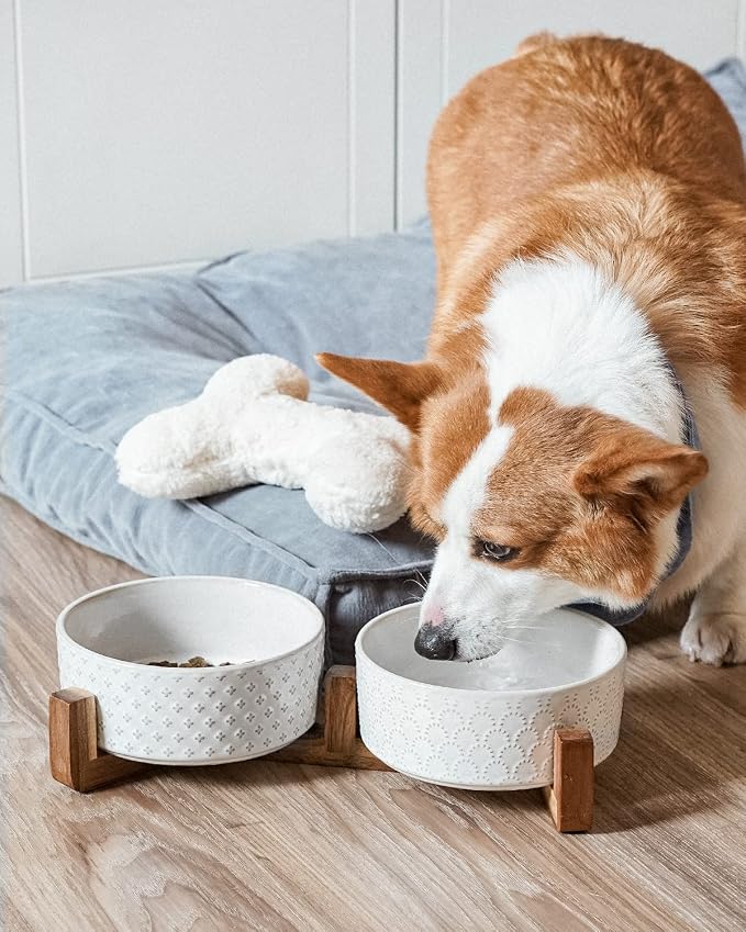 LE TAUCI Dog Bowl Set with Acacia Wood Stand - Image 5