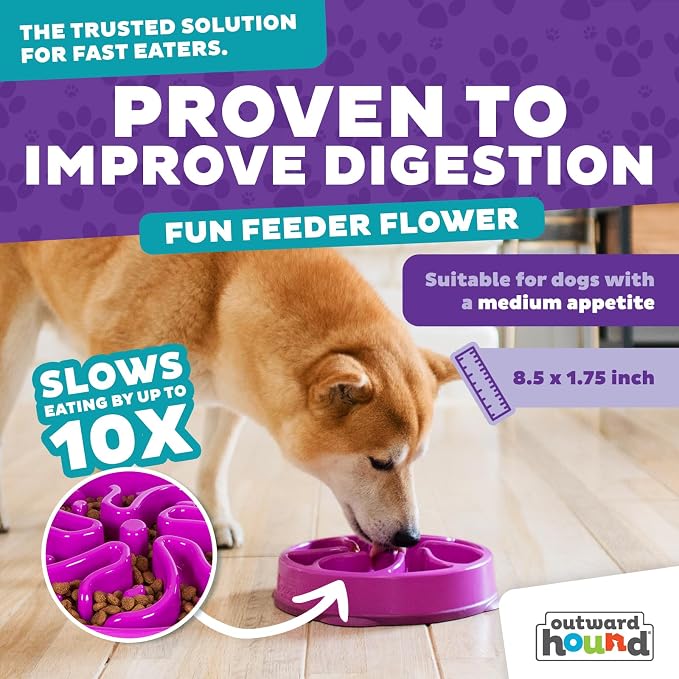 Outward Hound Fun Feeder Slo Bowl – Medium 2‑Cup Capacity, Slow Feeding - Image 4