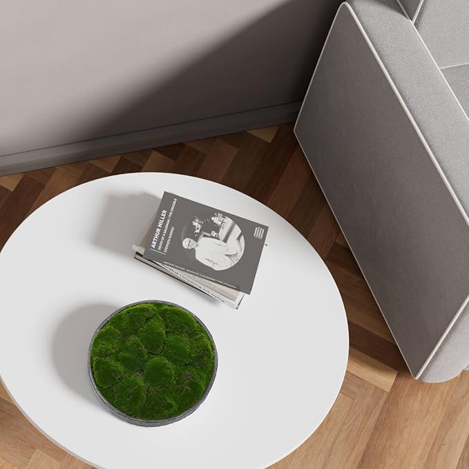 NAHARO New Moss Bowl, Living Room, or Coffee Table Display - Image 6