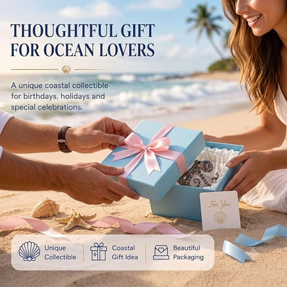 Set of 4 Reef Shell 3D Ocean Animal Artisan Glassware, Bar Cups | Unique - Image 7