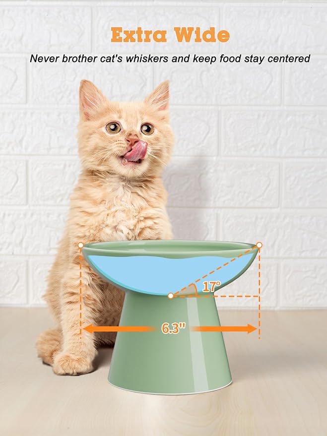 LoeJan Elevated Cat Food and Water Bowls Set, Extra Wide and Raised Ceramic - Image 5