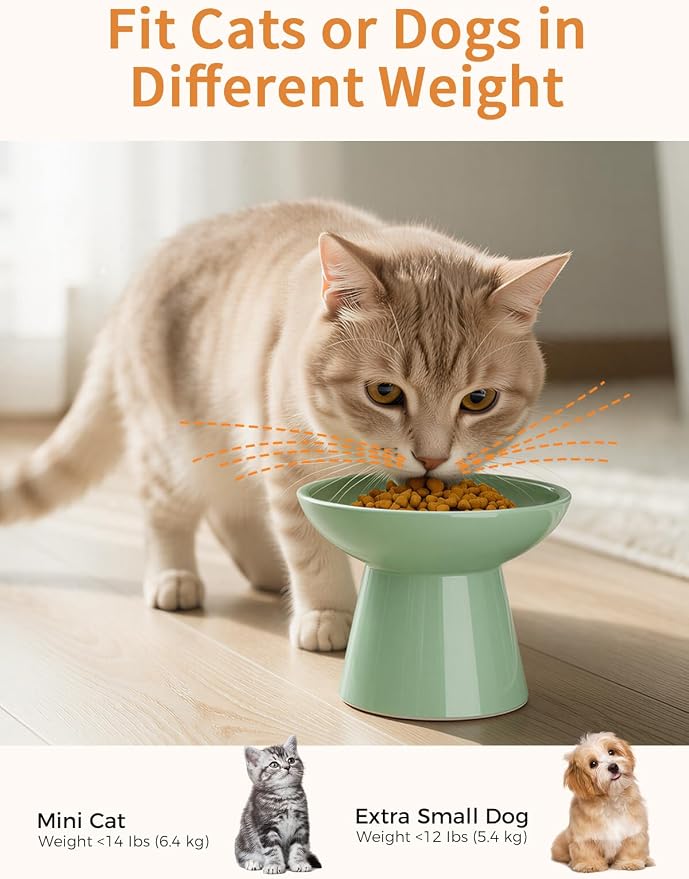LoeJan Elevated Cat Food and Water Bowls Set, Extra Wide and Raised Ceramic - Image 6