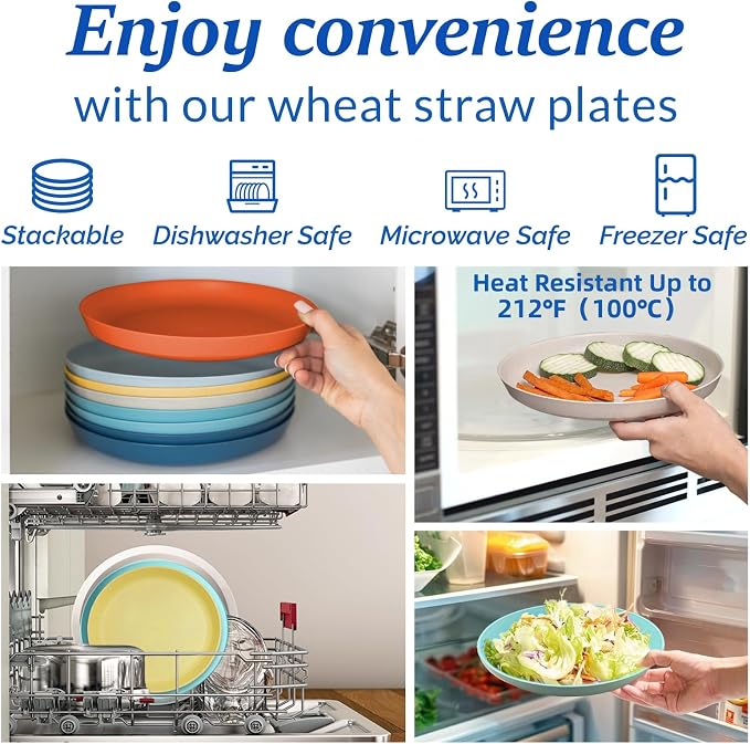 9 Inch Dinner Plates Set of 8 - Image 4