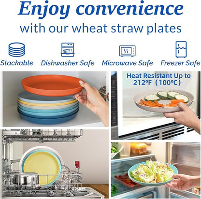 9 Inch Dinner Plates Set of 8 - Image 4