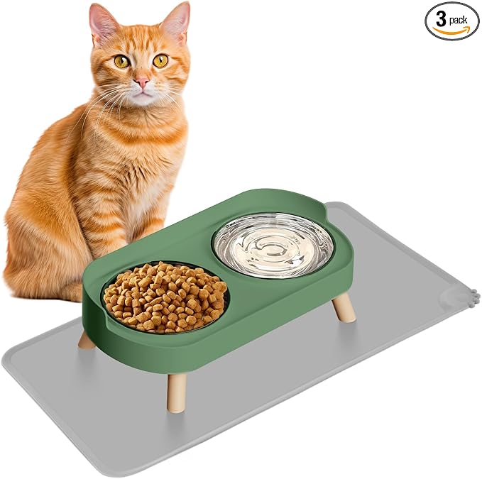 Elevated Cat Bowl with Food Mat, Raised Cat Food and Water Bowl Set by HIAIEVIY