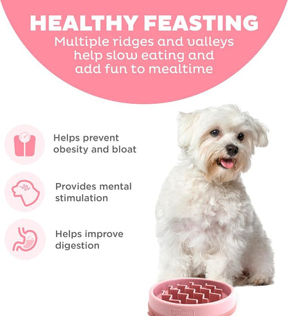 Outward Hound Fun Feeder Slo Bowl – Small 3/4-Cup Capacity, Slow Feeding - Image 2