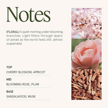 LA JOLIE MUSE Cherry Sakura Candle - Cherry Blossom, Rose, Sandalwood | 6 oz Natural Soy Wax | 40 Hours Clean Burn | Floral Scented Candle | Gift-Ready for Hosts & Gatherings