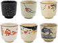 DAYUMKOU 6 Pack Japanese Tea Cup No handle by DAYUMKOU