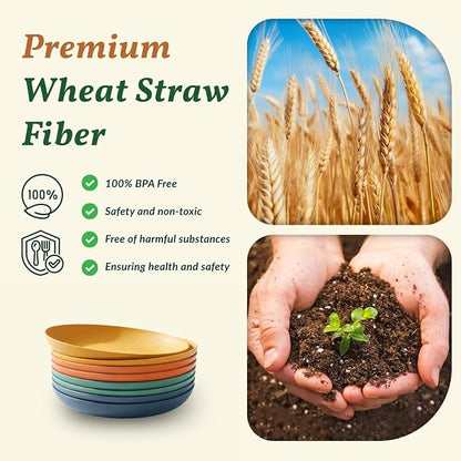 Deep Dinner Plates Set of 8 Alternative - Image 3
