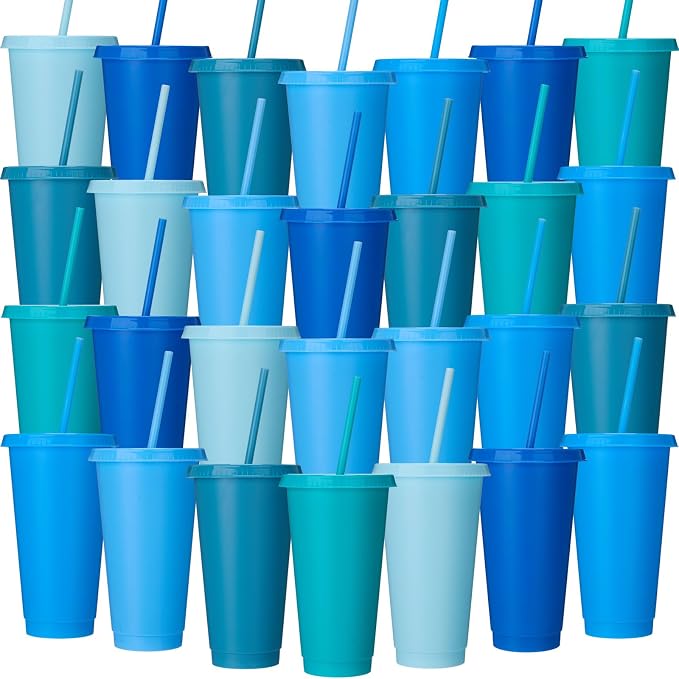 Honeydak 30 Pack Tumbler with Straw and Lid Bulk Cups by Honeydak