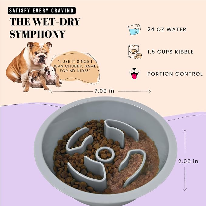AVERYDAY Slow Feeder Dog Bowls for Medium Breeds Fits Raised Feeding Station - Image 4