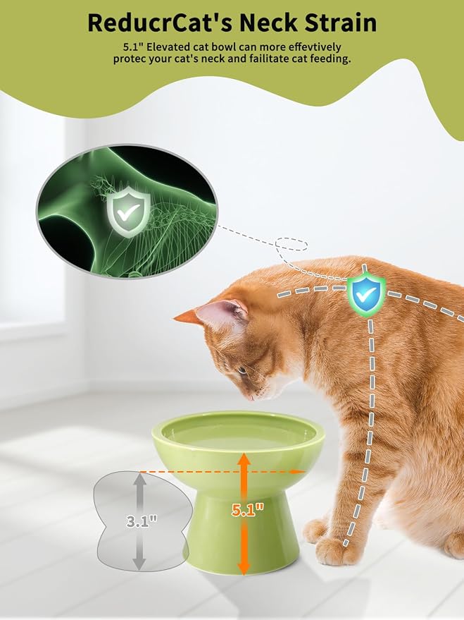LoeJan Elevated Cat Food and Water Bowls Set, Extra Wide and Raised Ceramic - Image 3
