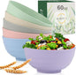 Wheat Straw Bowls Set 60 OZ Unbreakable Large Cereal Bowls Set of 6 Microwave by WROVA