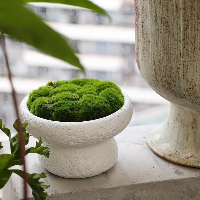 6'' Handmade Cement Bowl–Artificial Moss Centerpiece - Image 3