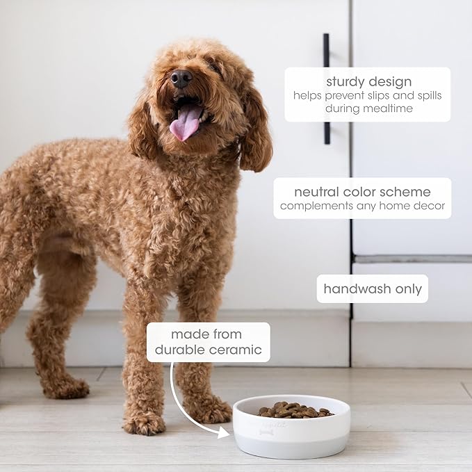 Pearhead Ceramic Bone Appétit Dog Bowl, Holds 2 Cups, Stoneware Food and Water Dish, Grey and White Pet Feeder, Small/Medium