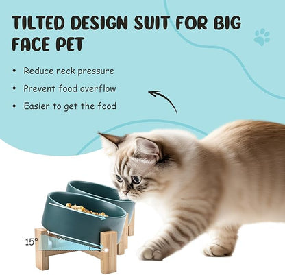 SPUNKYJUNKY 15° Slanted Ceramic Dog and Cat Bowl with Wooden Stand, Tilted Bulldog Food and Water Bowl No Slip Non-Spill for Cats Medium Dogs Big Face Pets 13.5 OZ (1.7 Cups, Green × 2)