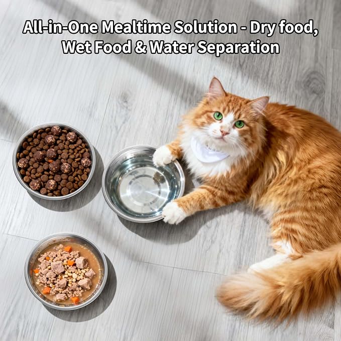 Tifanso 6PCS 5.6" Stainless Steel Whisker Friendly Cat Food & Water Bowls | - Image 6